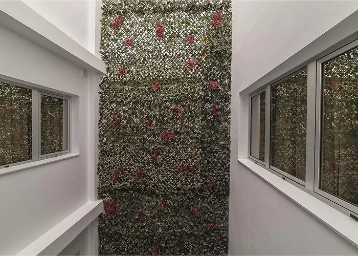 Ciudad Del Mar 3* 大加那利岛拉斯帕尔马斯